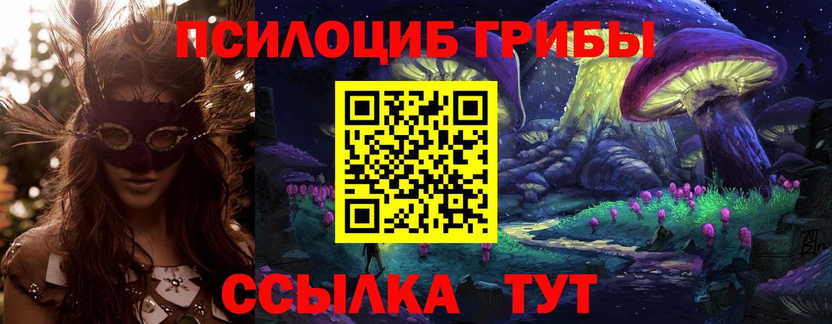 где купить   Псилоцибиновые грибы прущие грибы  Озёрск  Вход с VPN  Галлюциногенные грибы ЛСД 